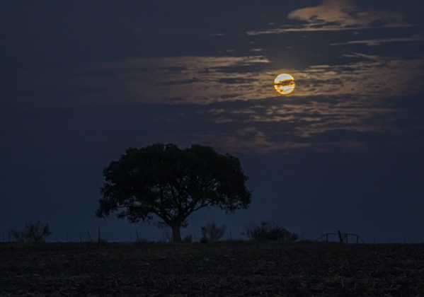 A full moon, at 99.7% visibility, shines over County Road 356 on Sunday evening, September 7, 2025.  Cloudy skies prevailed throughout the day.   Photo by Andy Sharp.