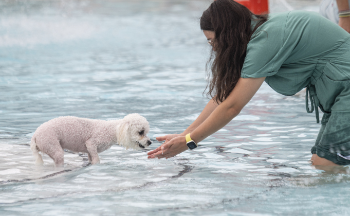 Chewy, a Bichon Frise, spends time with its owner Nadia Butenko during K-9 Kerplunk, held in the outdoor pool at the Georgetown Recreation Center on Saturday, September 6, 2025.