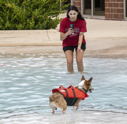 Victoria Lerma tries to get her dog named Pawblo to pose for a photo in the water during K-9 Kerplunk, held in the outdoor pool at the Georgetown Recreation Center on Saturday, September 6, 2025.