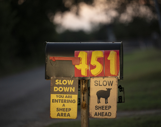 Signs at the home of Rosalio Rodriguez,  who herds sheep nearby, asks that drivers proceed slowly when sheep are present on Tuesday, September 2, 2025.