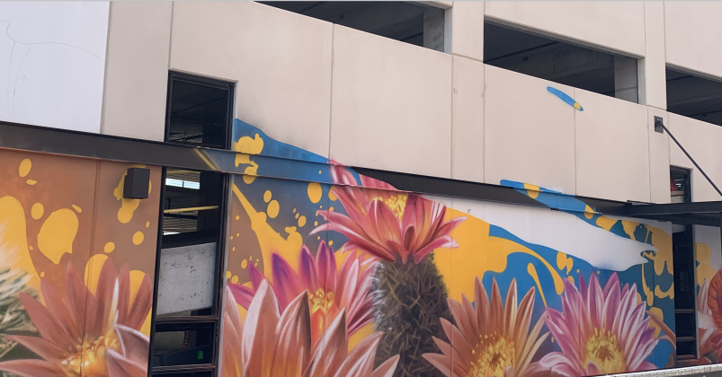 The bottom right of the garage currently has fauna that is reminiscent of the southwest. (Photo by Kaitlyn Wilkes)