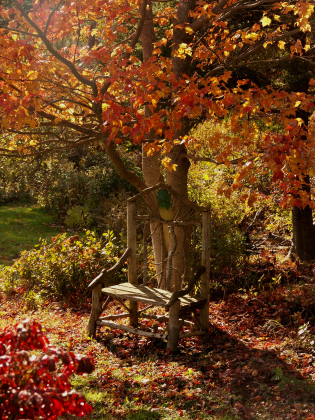 Sunlite Colors of Autumn by JoAnn Reiter on display at Mulligan’s gallery.