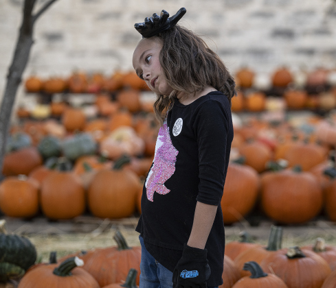 8-year-old Ransom Richey takes a few moments to rest while helping place  more than 3,000 pumpkins at Georgetown First United Methodist Church on Wednesday afternoon, October 8, 2025.