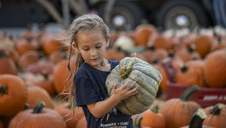 5-year-old  Andi Richey helps unload and place pumpkins  at Georgetown First United Methodist Church on Wednesday afternoon, October 8, 2025.