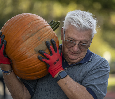 Chuck Rohre helps  unload more than 3,000 pumpkins at Georgetown First United Methodist Church on Wednesday afternoon, October 8, 2025.