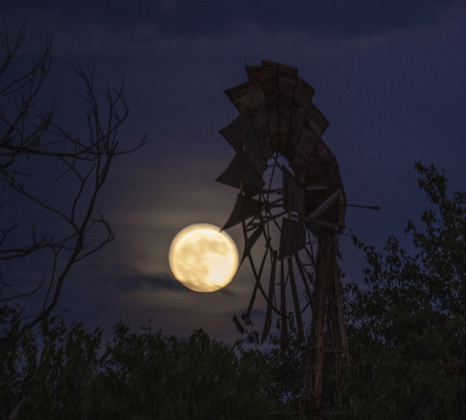 A full moon shines along County Road 345  on Monday, October 6, 2025.   Photo by Andy Sharp.  