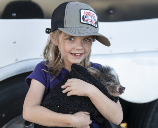 7-year-old Alice Abbott holds a pig named Honey Boo Boo after one of  the Swifty Swine show  races at the Williamson County Fair on Wednesday, October 22, 2025. Held at the Williamson County Expo Center, the fair and rodeo continues through Saturday.   Photo by Andy Sharp.