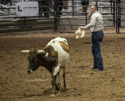 Renato Finazzi of Millsap, Texas walks away after taking a turn at Steer Wrestling  during the Williamson County Rodeo  on Thursday, October 23, 2025.  The three-night rodeo is held along with the Williamson County Fair at the Williamson County Expo Center.   Photo by Andy Sharp.