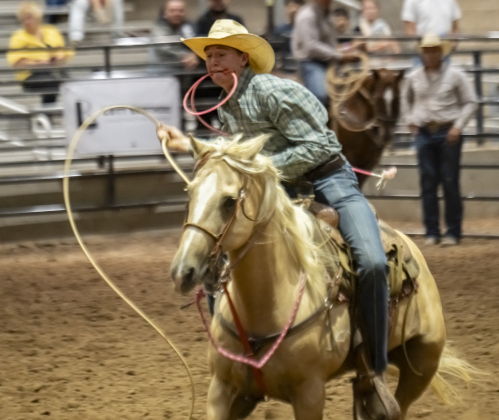 Colt Carpenter of Quitman, Texas competes in Tie Down Roping during the Williamson County Rodeo  on Thursday, October 23, 2025.  The three-night rodeo is held along with the Williamson County Fair at the Williamson County Expo Center.   Photo by Andy Sharp.