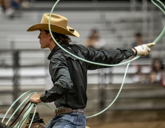 An entrant prepares to compete in Team Roping  during the Williamson County Rodeo  on Thursday, October 23, 2025.  The three-night rodeo is held along with the Williamson County Fair at the Williamson County Expo Center.   Photo by Andy Sharp.