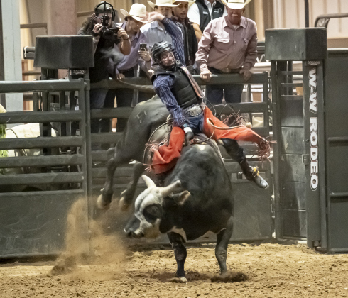 Dakota Hill of Paris, Texas competes in Bull Riding  during the Williamson County Rodeo  on Thursday, October 23, 2025.  The three-night rodeo is held along with the Williamson County Fair at the Williamson County Expo Center.   Photo by Andy Sharp.