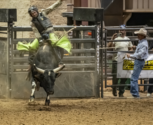 Zachary Miles of Nixon, Texas competes in Bull Riding during the Williamson County Rodeo  on Thursday, October 23, 2025.  The three-night rodeo is held along with the Williamson County Fair at the Williamson County Expo Center.   Photo by Andy Sharp.
