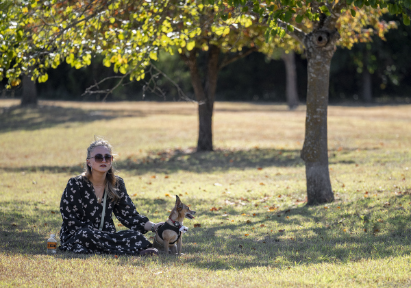 Aine Spainhour and her dog Asher relax in the shade of a park tree  as they attend a Blessing of the Animals service conducted by Grace Episcopal Church, held at Booty’s Road Park on Sunday, October 5, 2025.  Lunch was provided at the park’s pavilion after the service acknowledging the work of Saint Francis of Assisi.   Photo by Andy Sharp.