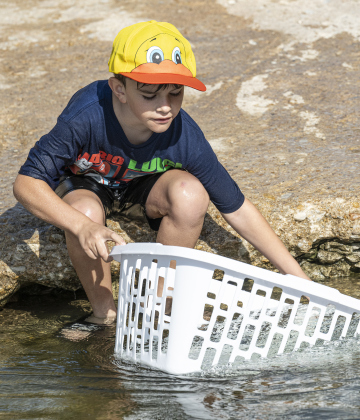 8-year-old Micah Marquez helped gather up ducks at the finish area during the 10th Annual AAUW Duck Race held on the river at San Gabriel Park on Saturday, November 1, 2025.  Rubber ducks are placed in the river and race to the finish in several heats.  Winners of winning ducks win prizes.   The event raises funds for area high school student scholarships. Photo by Andy Sharp.