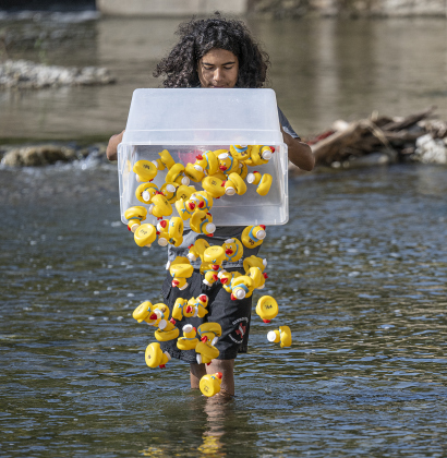 13-year-old Xavi Felix releases rubber ducks into the water during the 10th Annual AAUW Duck Race held on the river at San Gabriel Park on Saturday, November 1, 2025.  Rubber ducks are placed in the river and race to the finish in several heats.  Winners of winning ducks win prizes.   The event raises funds for area high school student scholarships. Photo by Andy Sharp.