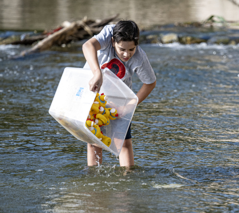 12-year-old Jude Marquez releases ducks into the water during the 10th Annual AAUW Duck Race held on the river at San Gabriel Park on Saturday, November 1, 2025.  Rubber ducks are placed in the river and race to the finish in several heats.  Winners of winning ducks win prizes.   The event raises funds for area high school student scholarships. Photo by Andy Sharp.