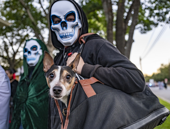 A dog named Potato was joined by Jeremiah Mathews, 14, and his sister Lillian, 17, left,  during Halloween along Main Street on Friday, October 31, 2025.  Photo by Andy Sharp.