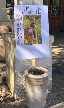 Outside of the Sun City Social Center on November 6, there were signs against the culling of the deer population in the neighborhood. (Photo by Kaitlyn Wilkes)
