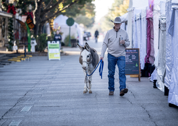Jeff Walls takes a morning walk along Main Street with his donkey named Bo during the annual Christmas Stroll, held in downtown Georgetown on Saturday, December 6, 2025.  Bo was a member of Bethlehem Village from Georgetown Church of the Nazarene, but enjoys these morning walks with Walls.    Photo by Andy Sharp.