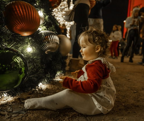 20-month-old Maebell Weippert was enchanted by the lights of the Christmas tree on the courthouse lawn during the Lighting of the Square on Friday, November 28, 2025.   Photo by Andy Sharp.