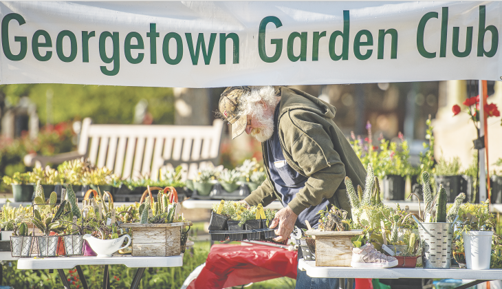 David Mertink helps arrange plants for the Georgetown Garden Club’s offerings at Seventh and Main streets during the Red Poppy Festival on Saturday, April 29, 2023. Although rules have changed for nonprofit booths at the 2026 Red Poppy Festival, the Georgetown Garden Club can still sell plants as a vendor selling products if they apply. (Sun Archive)