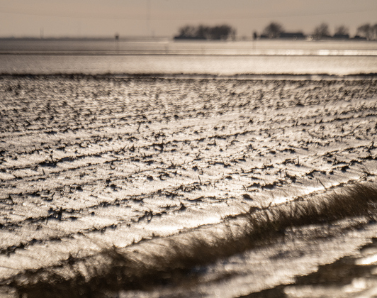 Fields along County Road 346 south of Granger are  covered in ice on Monday afternoon, January 26, 2026.  The temperature reached the low-mid 30s Monday, but was expected to dip to 14 degrees by Tuesday morning.   Photo by Andy Sharp.