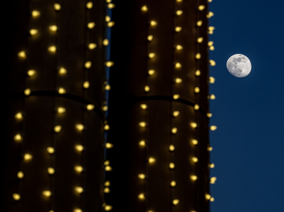 A  Waxing Gibbous moon, at 92.3% visibility, is seen through a portion of the Williamson County Courthouse on Wednesday, December 31, 2025, New Years Eve in Georgetown.   Photo by Andy Sharp.