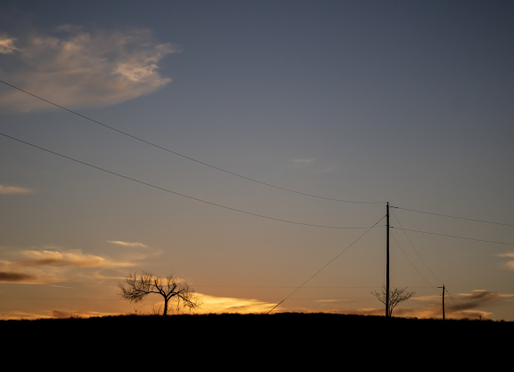 A resilient mesquite tree rests on a hill at a friend’s Circleville ranch  on Friday, January 2, 2026. Photo by Andy Sharp.