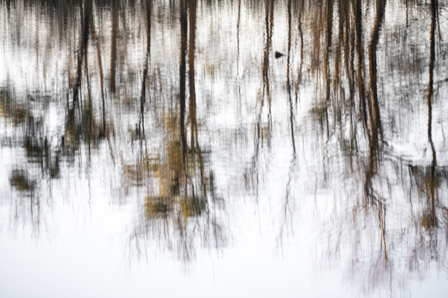 Trees are reflected in the pond at St. Theresa Sanctuary, a quiet section of Our Lady of the Rosary Cemetery and Prayer Garden on Saturday, January 3, 2026.