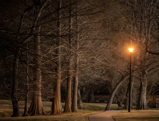 Bull Branch Park is seen well past sunset on Tuesday, February 3, 2026.  Light from nearby baseball fields where teams were practicing helps light the park.  The photo was taken using a tripod and slower shutter speeds.     Photo by Andy Sharp.