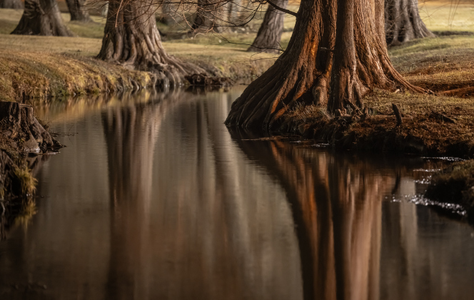 Water flows through Bull Branch Creek as  Bull Branch Park is seen well past sunset on Tuesday, February 3, 2026.  Photo by Andy Sharp.