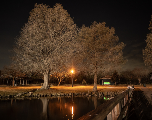 Bull Branch Park is seen well past sunset on Tuesday, February 3, 2026. The bit of green in the distance is a runner equipped with a night light for safety.  The slow shutter speed doesn't allow the viewer to see the runner, only his light.      Photo by Andy Sharp.