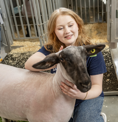 East View High School FFA (Future Farmers of America, if you need that) student Jocie Bailey, a sophomore, spends time with her sheep named Caspian at the Georgetown ISD State of the District gathering held at the Future Ready Complex on Friday, March 6, 2026.