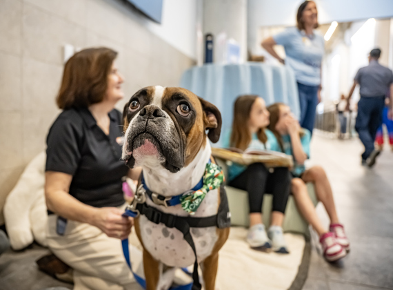 Max, a Therapy Dog with The Dog Alliance, is pictured with his owner Kat Boyd as they spend time with Frost Elementary School students Tyra Walker, a second grader, back left, and Adalyn Chambley, a first grader, back right,  at the Georgetown ISD State of the District gathering held at the Future Ready Complex on Friday, March 6, 2026.