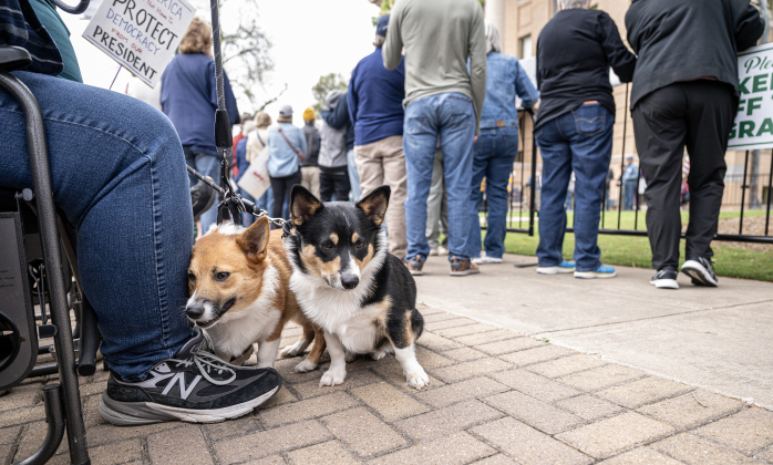 Phil McNeely was joined by his corgis Sylvie, left, and Loki, right, at  the No Kings rally held in downtown Georgetown on Saturday, March 28, 2026.  Approximately 700 people attended the rally, a demonstration opposed to the current Presidential administration of Donald Trump.  Photo by  Andy Sharp.