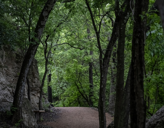 The trails at Booty's Road Park were adorned with  afternoon rain on   Sunday, April 12, 2026.