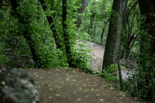 The trail at Booty's Road Park was  cleansed by  afternoon rain on   Sunday, April 12, 2026.