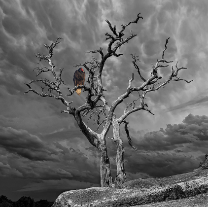 “Texas Storm” image by John Leek on display at Mulligan’s.