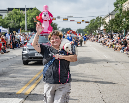 Kim Fross, a volunteer with All Things Wild Rehabilitation walks along Austin Avenue with an opossum named Magnolia during the Red Poppy Festival parade on Saturday, April 25, 2026.   Photo by  Andy Sharp.