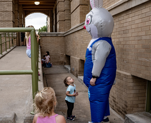 2-year-old Sloan Denemarks was enthralled with a visit from the Easter Bunny while the crowd listened to the music of Supernatural ATX, a Santana Tribute Band, during the first First Friday free concert of the year on the courthouse lawn on Friday, April 3, 2026.  The event was hosted by the Georgetown Beard Club.   Photo by  Andy Sharp.