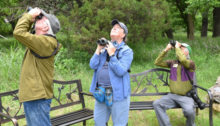 Dee O’ Neil, Belinda Avey and Martin Byhower observe birds in giant trees in Legacy Hills Park in Sun City on May 8.