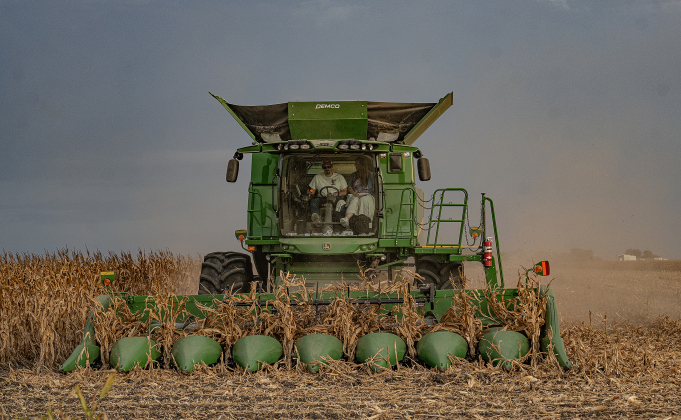 The corn harvest of brothers Shaun and Steven Raesz continues along County Road 414 on Friday, July 10, 2026. Driving this combine is 23-year-old Maverick Raesz, Shaun’s son.  These East Williamson County farmers are harvesting over 4,000 acres of corn this year.    Photo by Andy Sharp