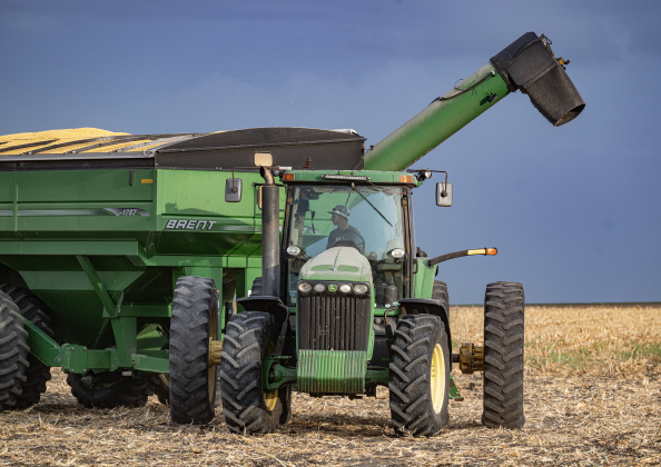 Cooper Raesz, 15,  drives a tractor pulling a grain collection cart during the corn harvest of brothers Shaun and Steven Raesz  along County Road 414 on Friday, July 10, 2026. Cooper is a second cousin of Shaun and Steven.   These East Williamson County farmers are harvesting over 4,000 acres of corn this year.    Photo by Andy Sharp