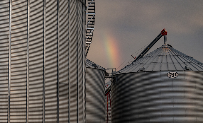 A rainbow is seen beyond the grain bins  along County Road 369 during the corn harvest of brothers Shaun and Steven Raesz  on Friday, July 10, 2026.  The brothers have six large bins for collecting harvested corn.   These East Williamson County farmers are harvesting over 4,000 acres of corn this year.    Photo by Andy Sharp
