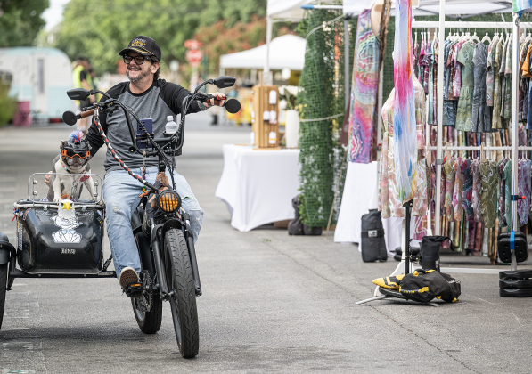 Jeff Lanfear is joined by Willow, his French Bulldog as they make their way along Main Street during Market Days on Saturday, July 11, 2026.  Market Days  is held on the second Saturday  of the month in downtown Georgetown.   Photo by Andy Sharp