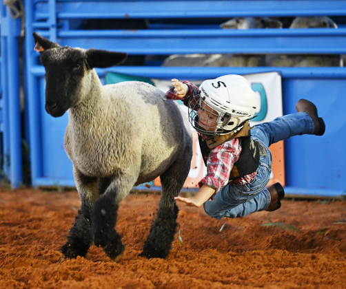 4-year-old Gabriel Demonteverde competes in Mutton Bustin’ at the 82nd Annual Williamson County Sheriff’s Posse Rodeo on Friday, June 26, 2026. The rodeo continued through Saturday night.    Photo by Andy Sharp