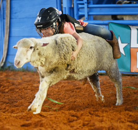 5-year-old Julia Hegarty competes in Mutton Bustin’ at the 82nd Annual Williamson County Sheriff’s Posse Rodeo on Friday, June 26, 2026. The rodeo continued through Saturday night.    Photo by Andy Sharp