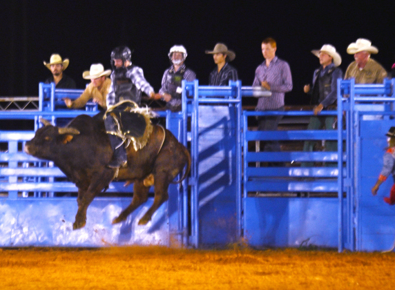 Dawson Shannon competes in Bull Riding at the 82nd Annual Williamson County Sheriff’s Posse Rodeo on Friday, June 26, 2026. The rodeo continued through Saturday night.    Photo by Andy Sharp