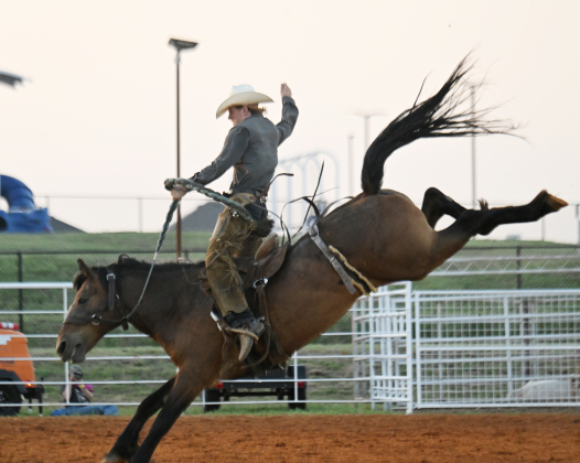 Davin Serres competes in Ranch Bronc Riding during the 82nd Annual Williamson County Sheriff’s Posse Rodeo on Friday, June 26, 2026. The rodeo continued through Saturday night.    Photo by Andy Sharp