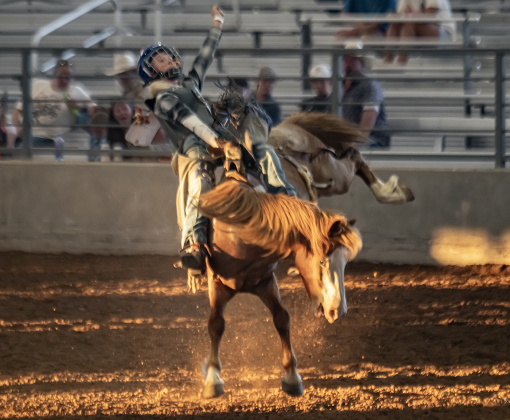 Garrett Nalley competes in bareback riding  during the 3rd Annual Bill Pickett Youth Rodeo, held at the Williamson County Expo Center on Saturday, June 20, 2026.  Contestants can be no older than 18 to participate.     Photo by Andy Sharp